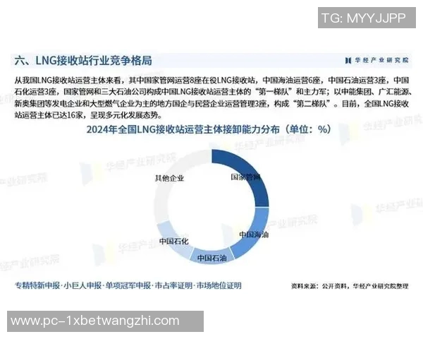 2026年3月份新闻独家解析LNG市场竞争策略与战术对比深度剖析